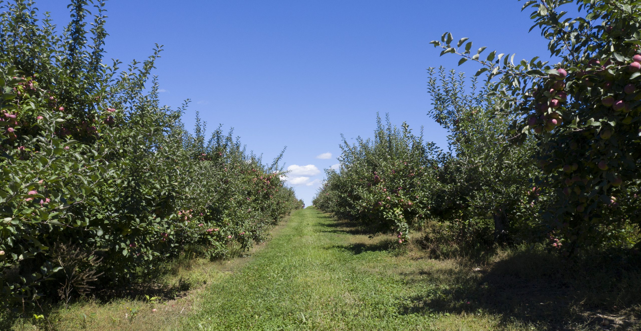 Apple-Ridge-Orchards01-2-scaled-e1619045654420